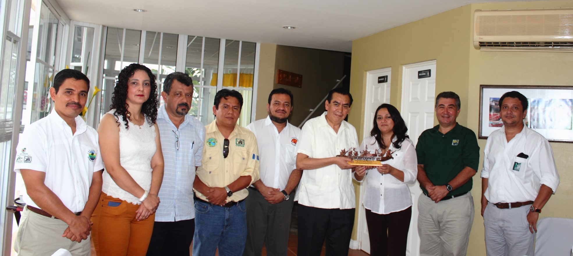 judicatura img2
