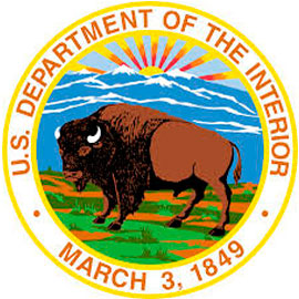Logo DOI