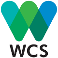 logo wcs nuevo